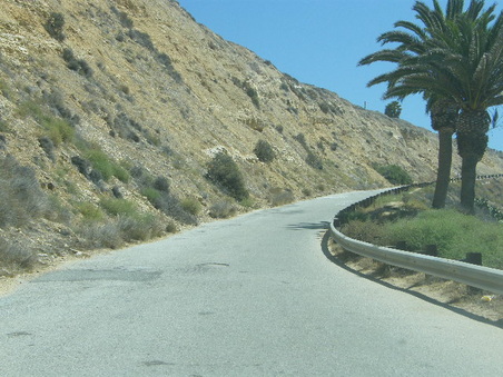Enlarge photo 41