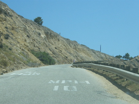 Enlarge photo 42