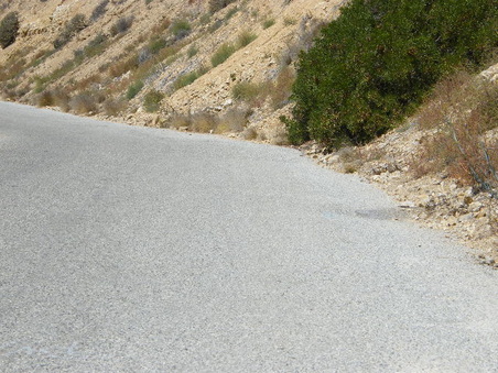 Enlarge photo 44