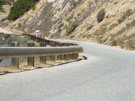 Enlarge photo 45