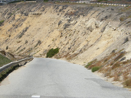Enlarge photo 46