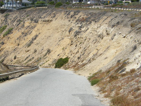 Enlarge photo 47