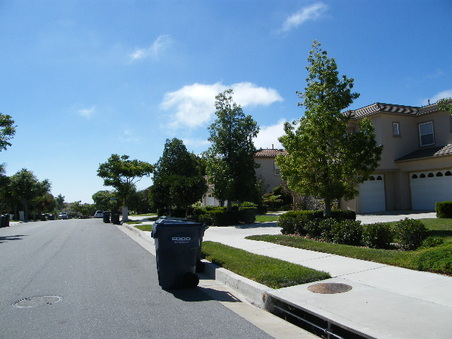 Enlarge photo 25