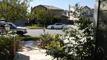 Enlarge photo 17