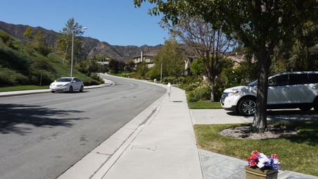 Enlarge photo 24
