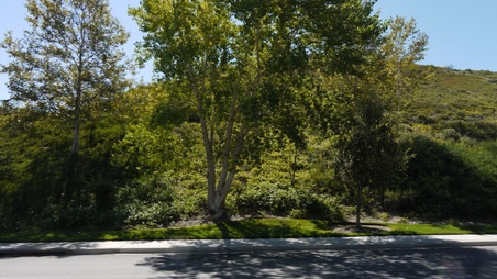 Enlarge photo 26