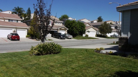 Enlarge photo 20