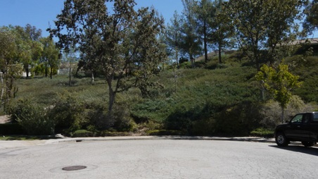 Enlarge photo 8