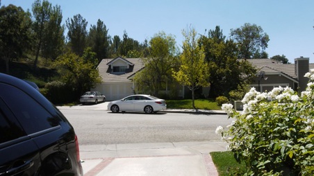 Enlarge photo 16