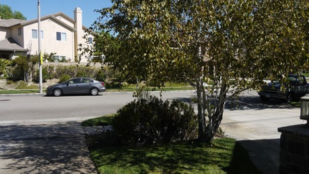 Enlarge photo 15