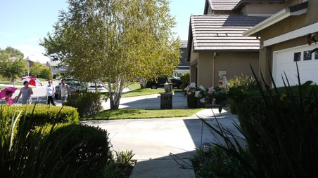 Enlarge photo 18