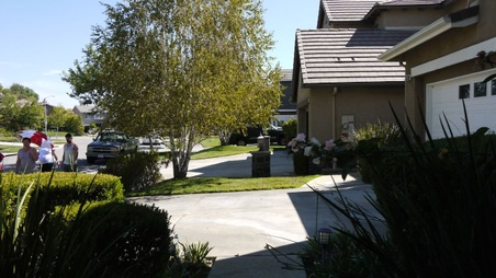 Enlarge photo 19