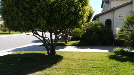 Enlarge photo 32