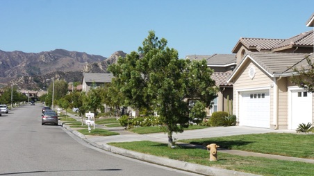 Enlarge photo 31