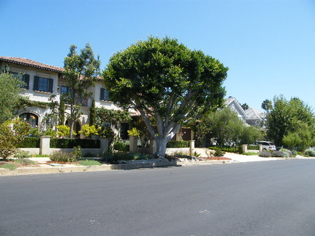 Enlarge photo 34
