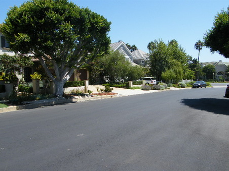 Enlarge photo 35