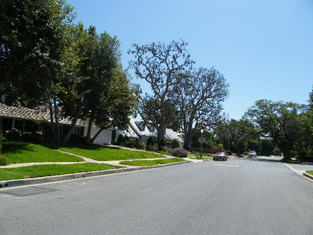 Enlarge photo 31
