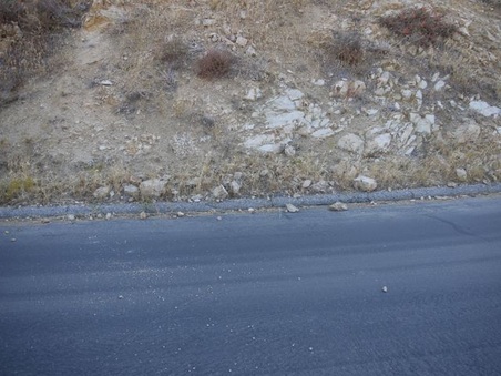 Enlarge photo 346