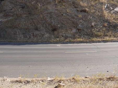 Enlarge photo 336