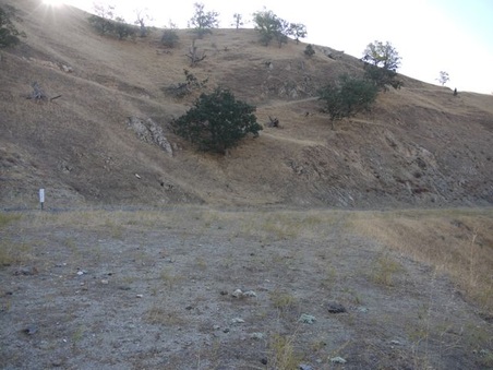 Enlarge photo 136