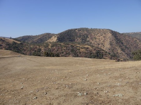 Enlarge photo 701