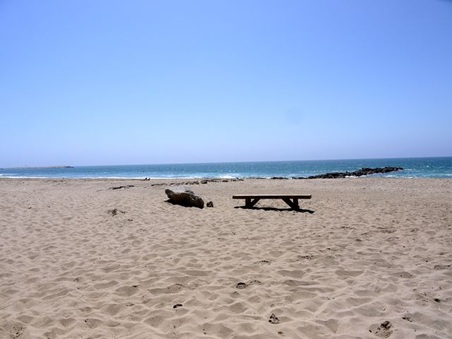 Enlarge photo 46