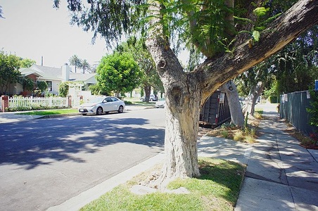 Enlarge photo 9