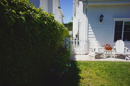 Enlarge photo 72
