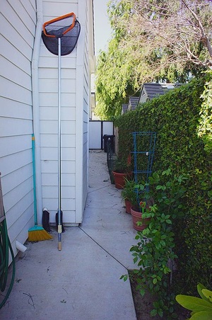 Enlarge photo 73