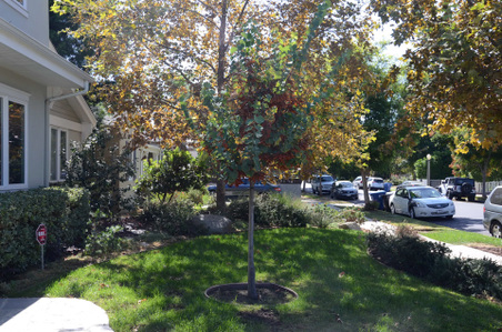 Enlarge photo 10