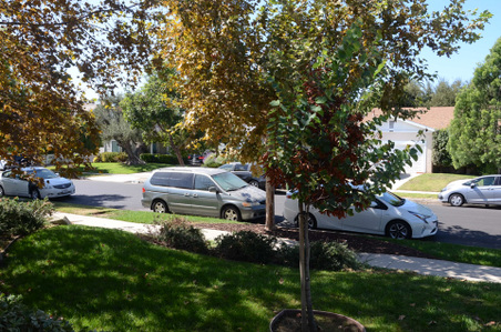 Enlarge photo 11