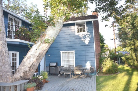 Enlarge photo 42