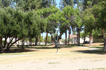 Enlarge photo 22