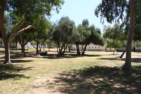 Enlarge photo 26