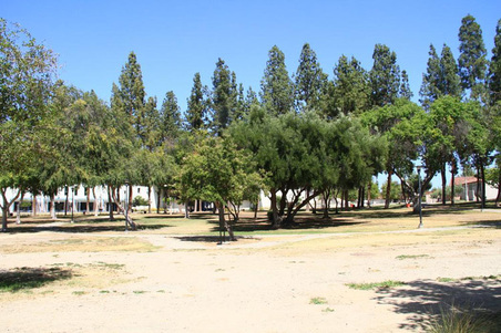 Enlarge photo 28