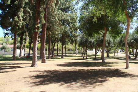 Enlarge photo 37