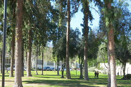 Enlarge photo 41