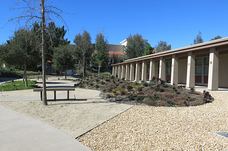 Enlarge photo 47