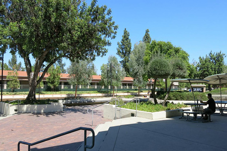 Enlarge photo 52