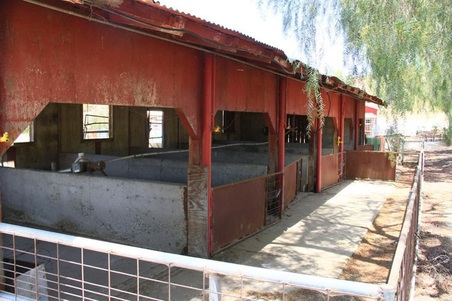 Enlarge photo 62