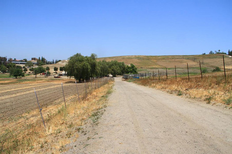 Enlarge photo 79