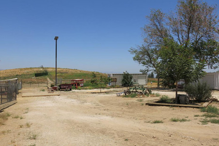 Enlarge photo 80