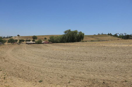 Enlarge photo 83