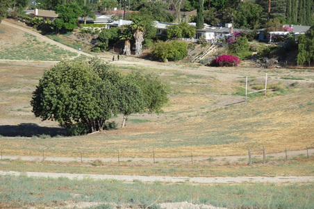 Enlarge photo 97