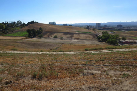 Enlarge photo 90