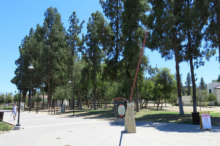 Enlarge photo 130