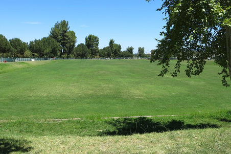 Enlarge photo 132