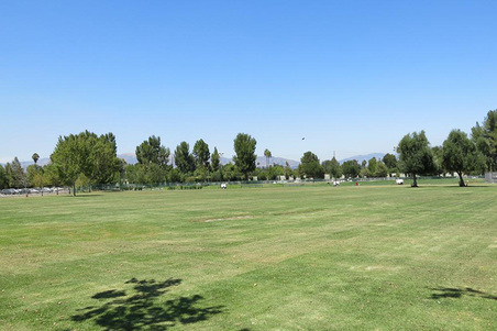 Enlarge photo 133