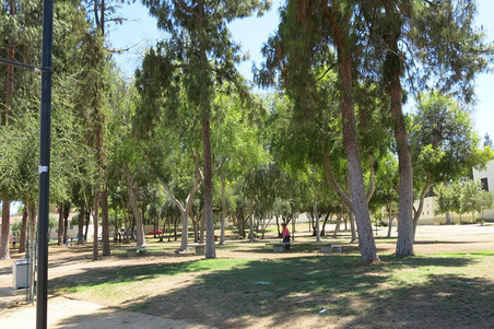 Enlarge photo 134