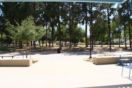 Enlarge photo 171